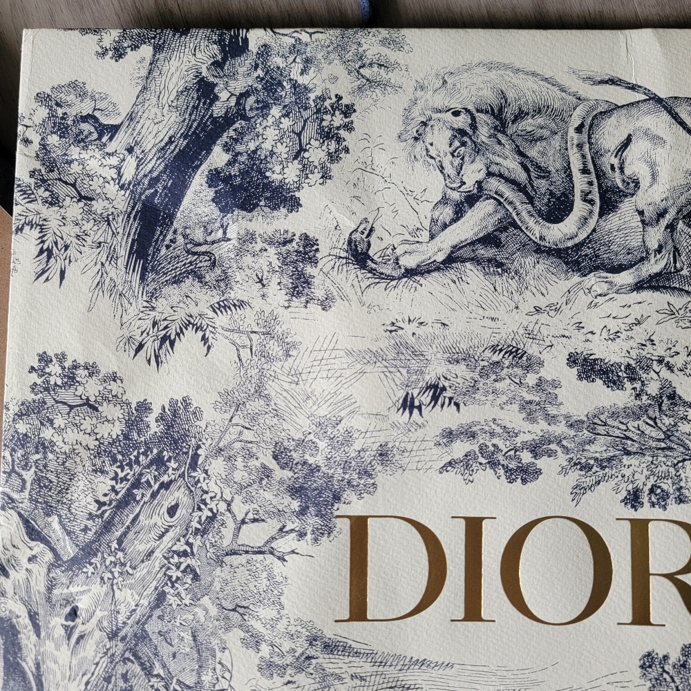 SALE🎉 Framed - Limited Edition Authentic Dior Shopping Bag - Framed - Picture 6 of 10